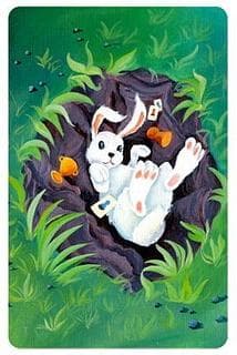 Portada juego de mesa Dixit: Odyssey – "Bunny" Promo Card